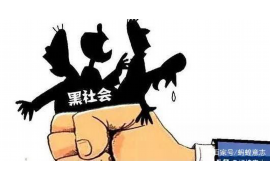 违规催收举报平台官网：透明监督，维护合法权益的新阵地
