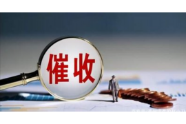 郸城要账公司：债务回收的守护者